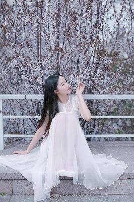 完美世界在线观看